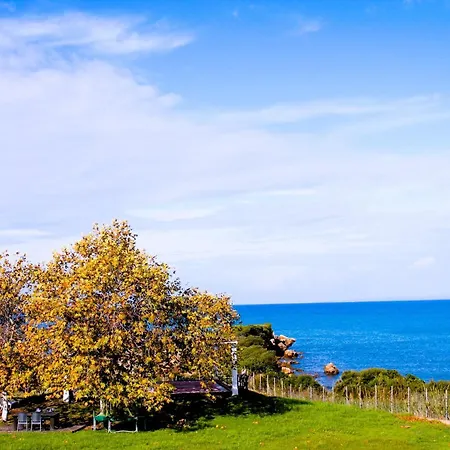 Sea Breeze Ena Apartment Korakochori