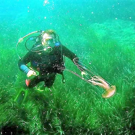 Sea Breeze Ena Appartement