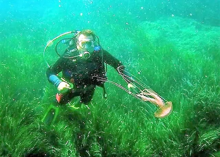 Sea Breeze Ena Apartamento